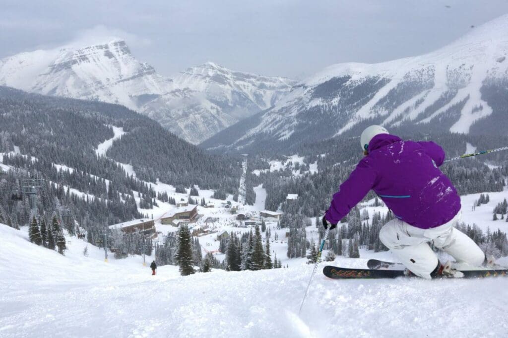 A skiier in a purple jacket skis down Sunshine Village in Banff - Ski Rentals