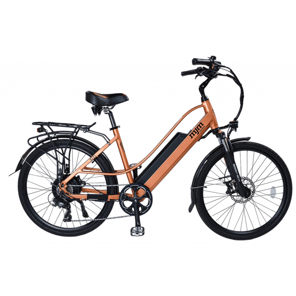 step over e-bike