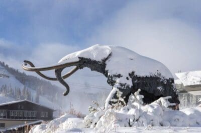 New Powder in Crested Butte Prompts Rope Drops & Non-existent Lift Lines Image