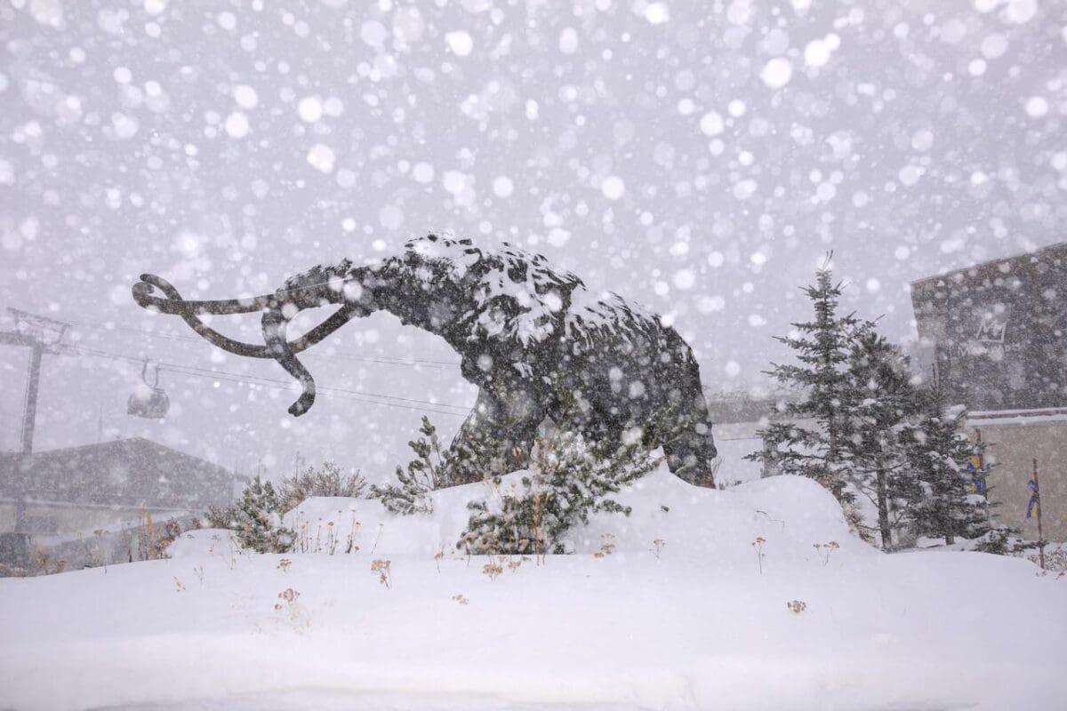 More Snow is Here Image
