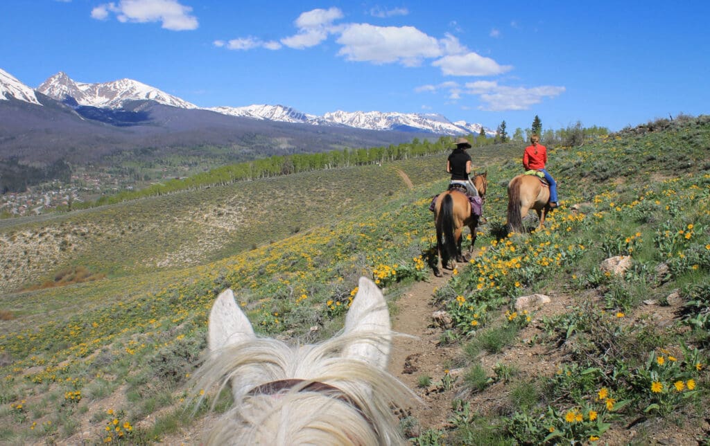 Trail ride colorado mountains horses