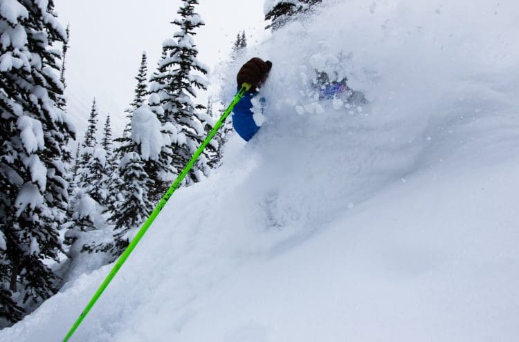 How to Survive Storm Skiing days in Whistler Image
