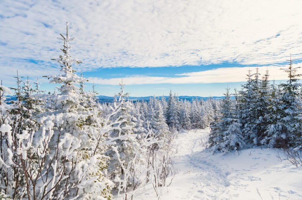 Beautiful snowy landscape in the Quebec eastern townships region, Canada